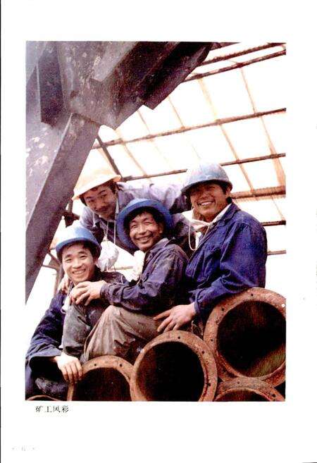 《武义萤石志》.pdf电子版_浙江省志预览图4