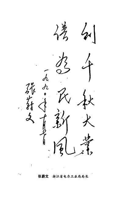 《武义电力志》.pdf电子版_浙江省志预览图2