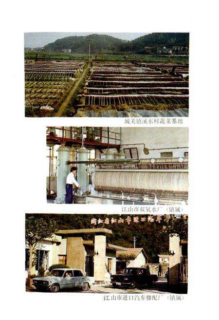 《江山城关镇志》.pdf电子版_浙江省志预览图5