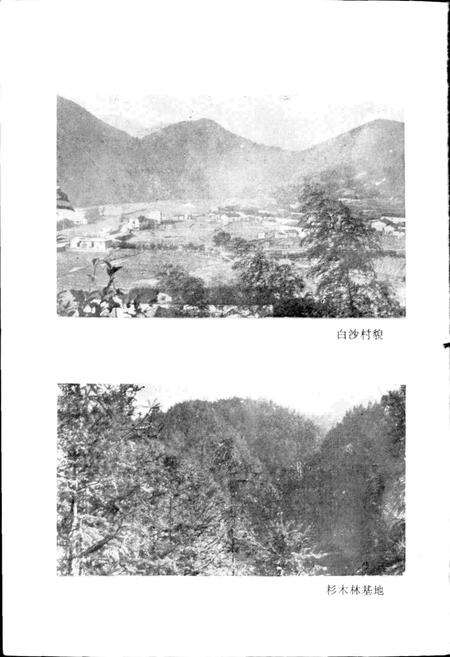 《白沙村志》.pdf电子版_浙江省志预览图3