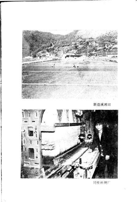 《白沙村志》.pdf电子版_浙江省志预览图4