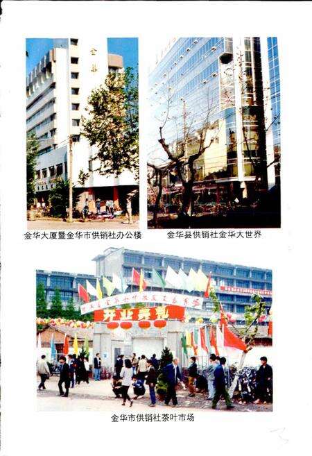 《金华市供销合作社志》.pdf电子版_浙江省志预览图5