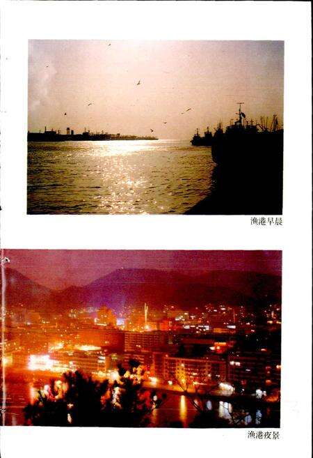 《沈家门镇志》.pdf电子版_浙江省志预览图5