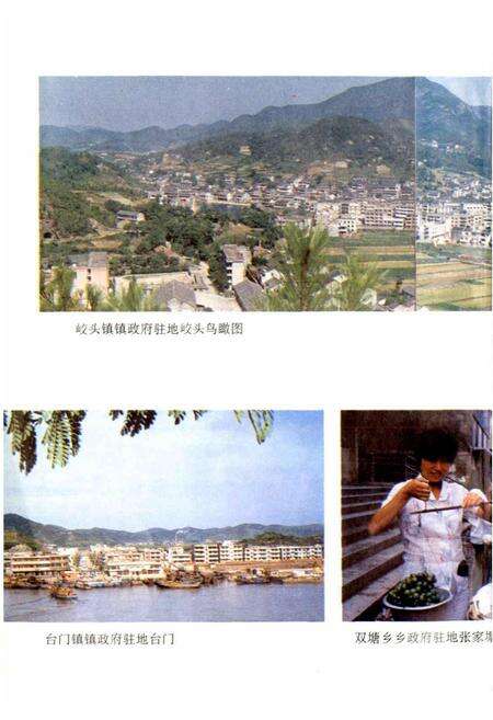 《六横志》.pdf电子版_浙江省志预览图4
