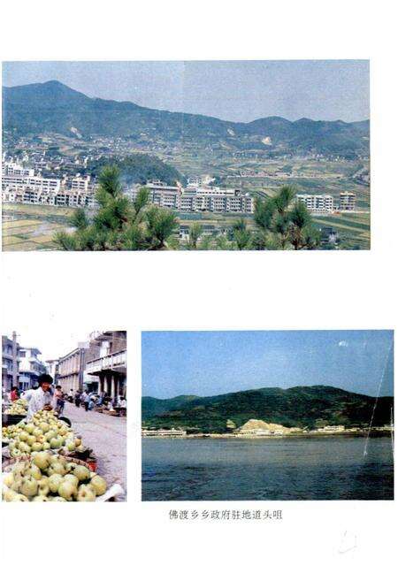 《六横志》.pdf电子版_浙江省志预览图5
