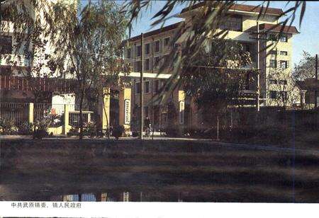 《武原镇志》.pdf电子版_浙江省志预览图5