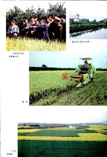 《奉化市志》.pdf电子版_浙江省志预览图5