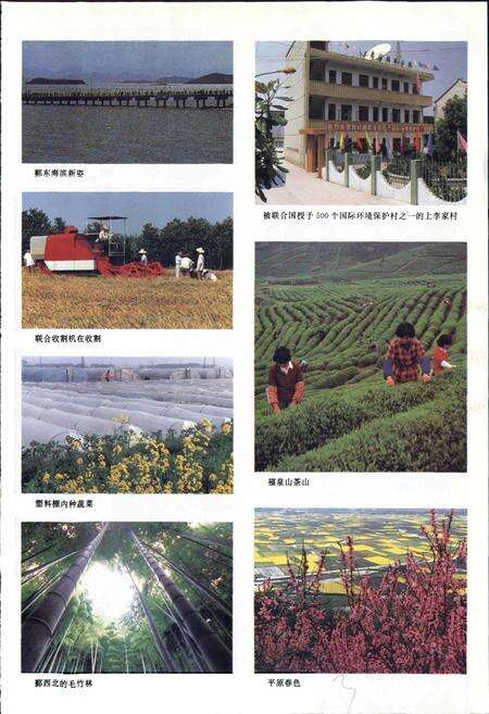 《鄞县志 上》.pdf电子版_浙江省志预览图5