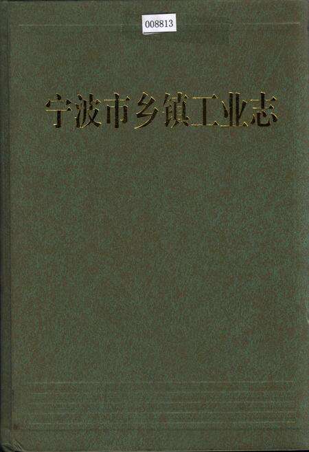 《宁波市乡镇工业志》.pdf电子版_浙江省志缩略图