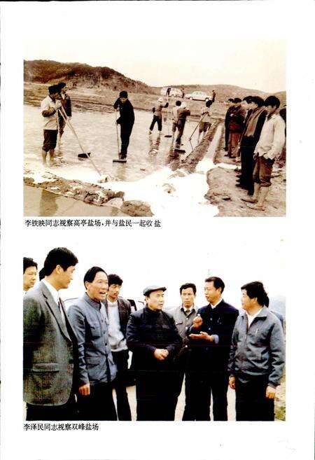 《岱山县盐业志》.pdf电子版_浙江省志预览图5