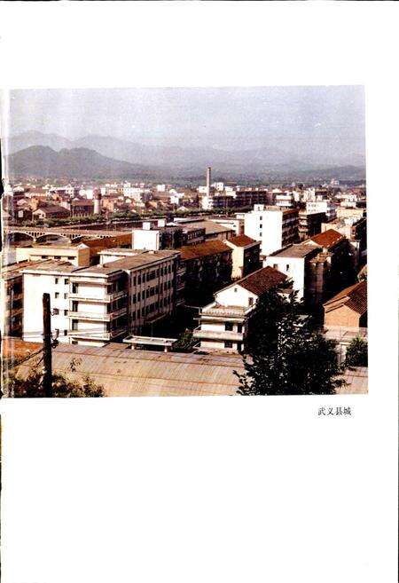 《武义县志》.pdf电子版_浙江省志预览图5