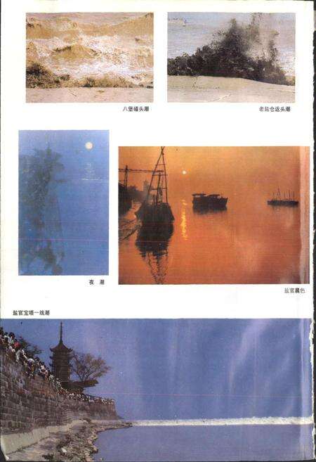 《海宁市志》.pdf电子版_浙江省志预览图4