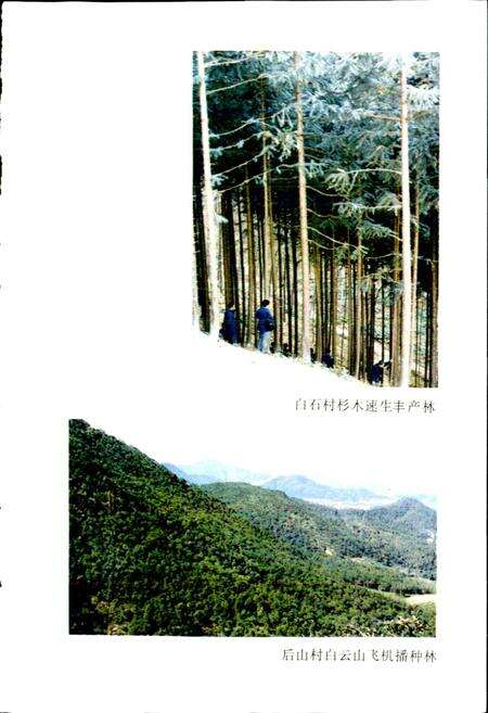 《临海林业特产志》.pdf电子版_浙江省志预览图2