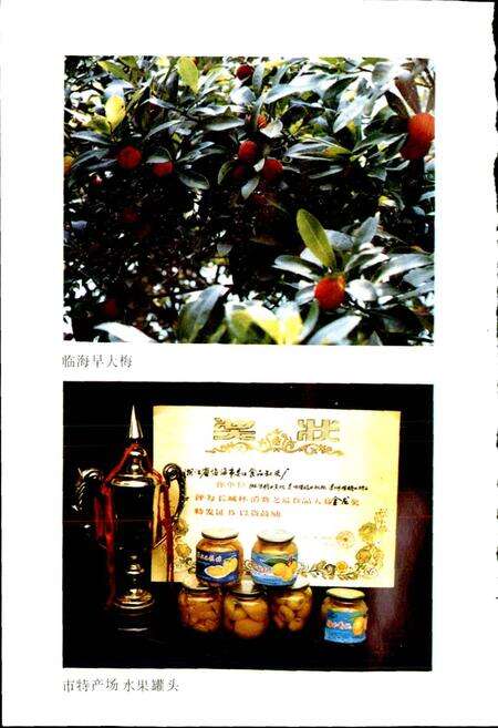 《临海林业特产志》.pdf电子版_浙江省志预览图5