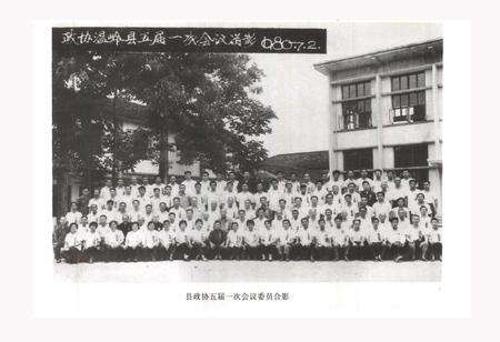 《温岭市政协志》.pdf电子版_浙江省志预览图4