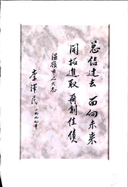 《温岭人民代表大会志》.pdf电子版_浙江省志预览图4