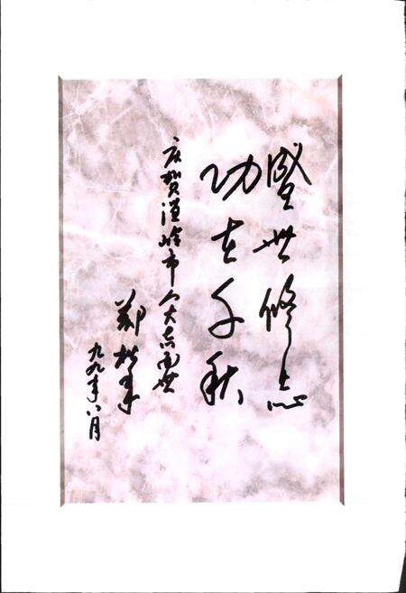 《温岭人民代表大会志》.pdf电子版_浙江省志预览图5