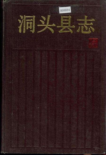《洞头县志》.pdf电子版_浙江省志缩略图