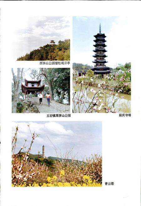 《松阳县志》.pdf电子版_浙江省志预览图5