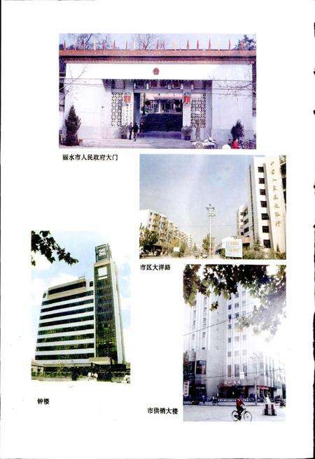 《丽水市志》.pdf电子版_浙江省志预览图4