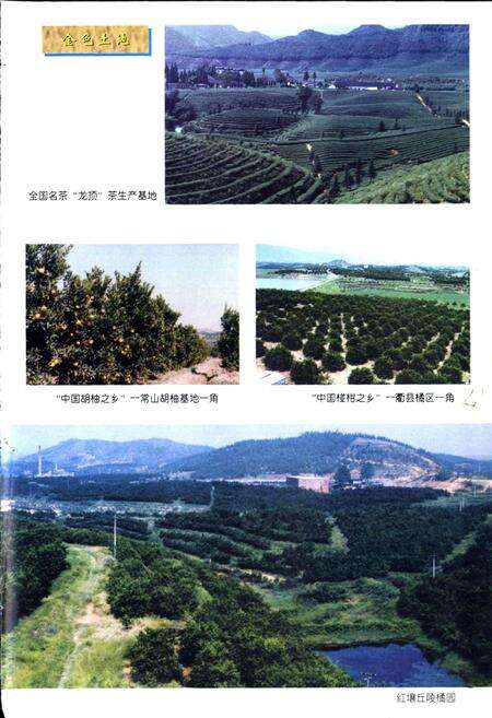 《衢州市土地志》.pdf电子版_浙江省志预览图5