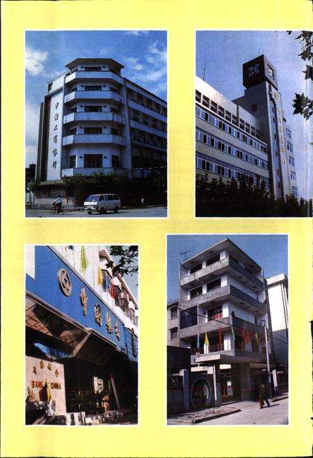 《龙游县金融志》.pdf电子版_浙江省志预览图4