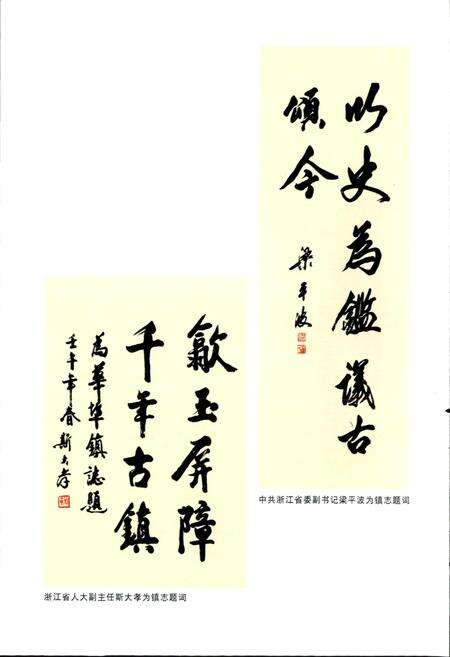 《华埠镇志》.pdf电子版_浙江省志预览图3