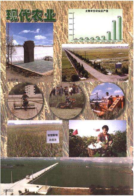 《椒江农业志》.pdf电子版_浙江省志预览图4