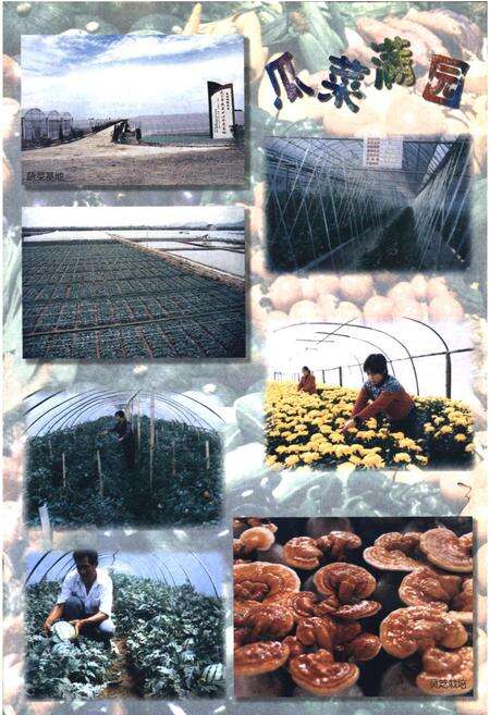 《椒江农业志》.pdf电子版_浙江省志预览图5