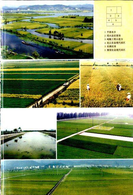 《绍兴县志 第二册 经济 政治》.pdf电子版_浙江省志预览图2