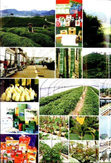 《绍兴县志 第二册 经济 政治》.pdf电子版_浙江省志预览图3