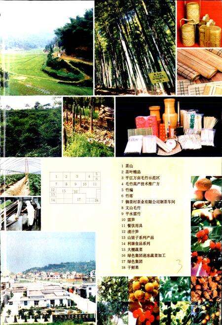 《绍兴县志 第二册 经济 政治》.pdf电子版_浙江省志预览图4