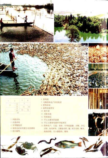 《绍兴县志 第二册 经济 政治》.pdf电子版_浙江省志预览图5