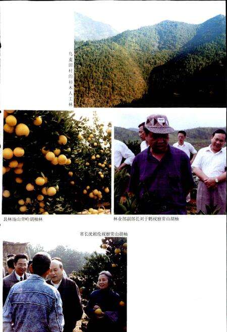 《常山县林业志》.pdf电子版_浙江省志预览图5