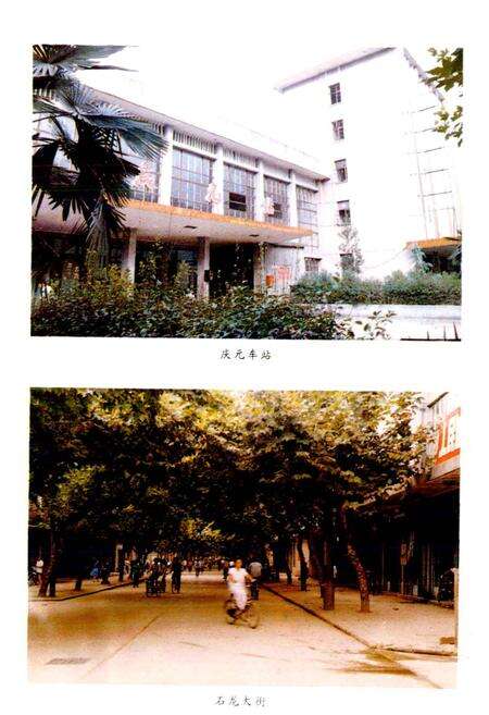 《庆元县交通志》.pdf电子版_浙江省志预览图5