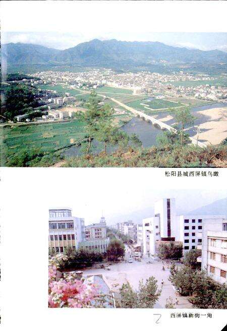 《松阳烟草志》.pdf电子版_浙江省志预览图2