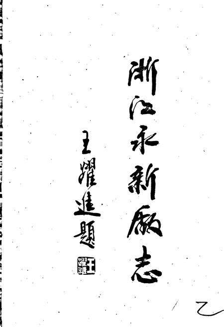 《浙江永新厂志》.pdf电子版_浙江省志预览图1