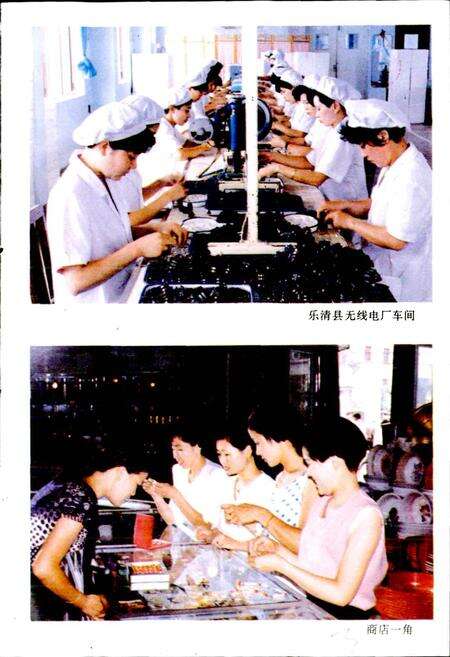 《乐成镇志》.pdf电子版_浙江省志预览图5