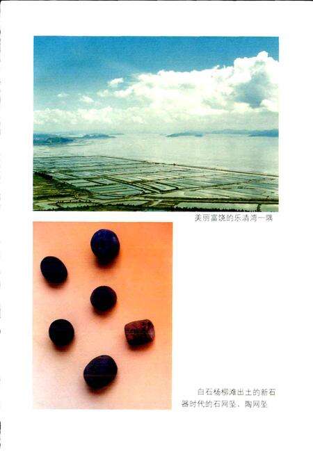 《乐清县水产志》.pdf电子版_浙江省志预览图4