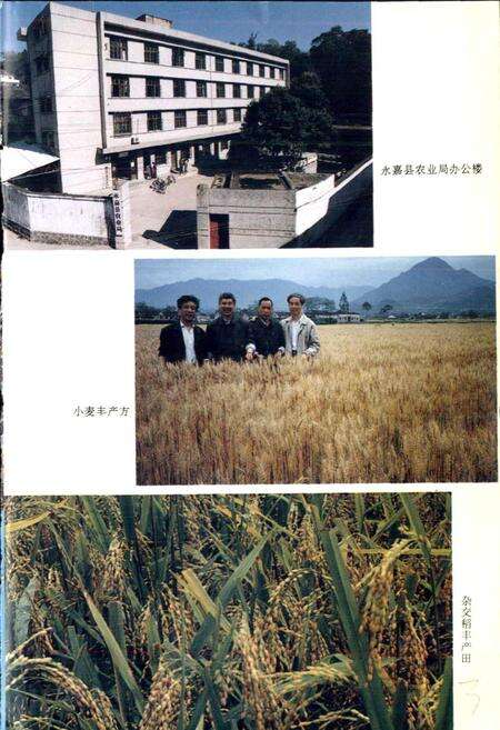 《永嘉县农业志》.pdf电子版_浙江省志预览图5