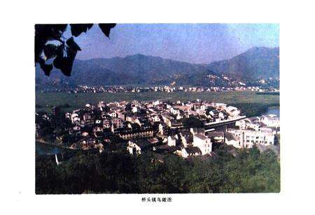 《桥头镇志》.pdf电子版_浙江省志预览图5