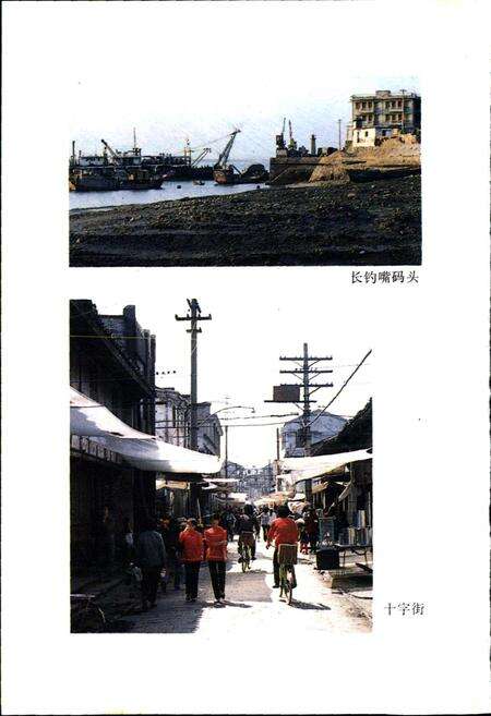 《玉环楚门镇志》.pdf电子版_浙江省志预览图5