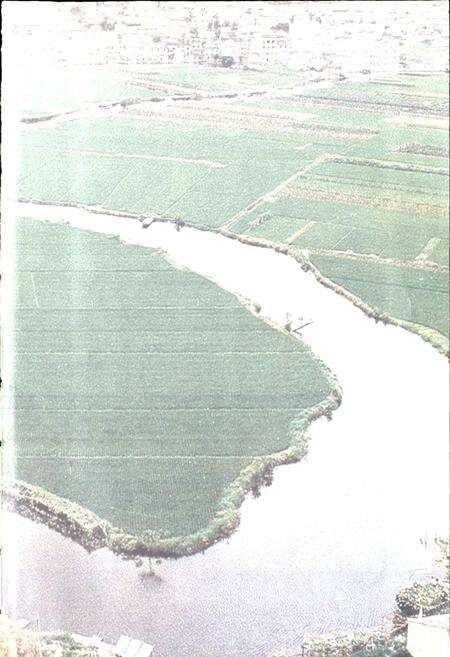 《平阳县水利志》.pdf电子版_浙江省志预览图5