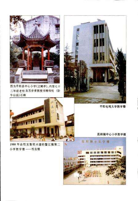 《平阳县教育志》.pdf电子版_浙江省志预览图5