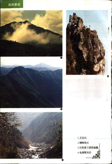 《泰顺县志》.pdf电子版_浙江省志预览图3