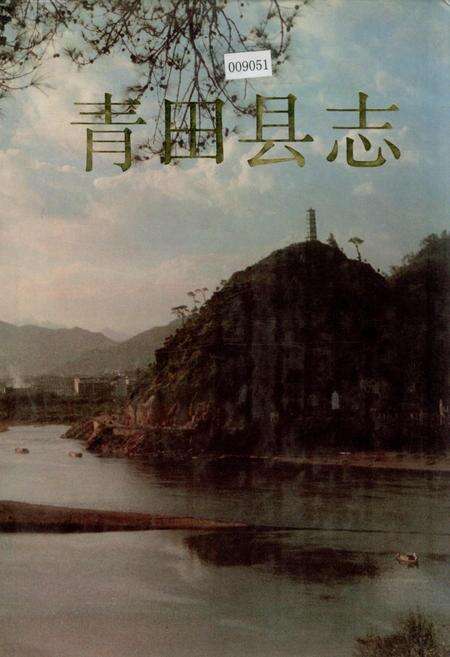 《青田县志》.pdf电子版_浙江省志缩略图