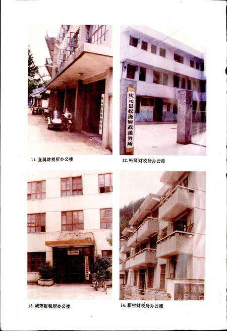 《庆元县财税志》.pdf电子版_浙江省志预览图5