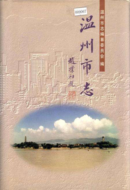《温州市志 中》.pdf电子版_浙江省志缩略图