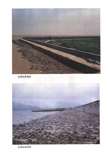 《苍南县水利志》.pdf电子版_浙江省志预览图5