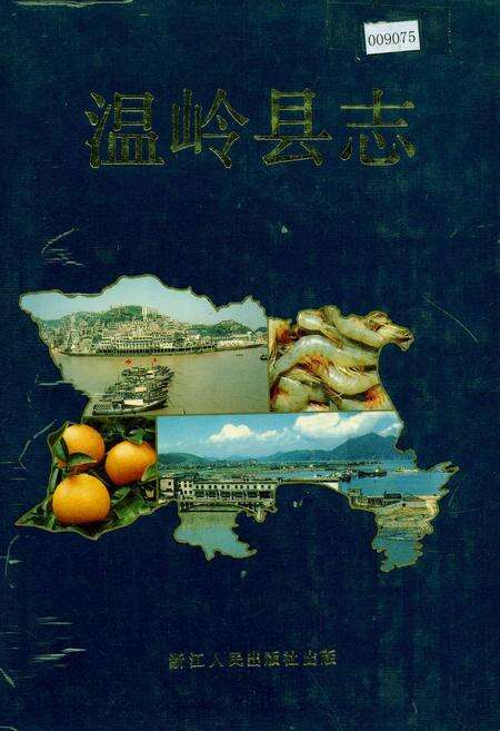 《温岭县志》.pdf电子版_浙江省志缩略图